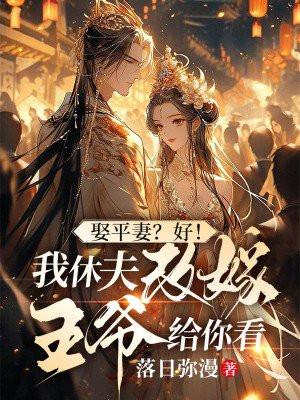 娶平妻?好!我休夫改嫁王爷给你看 txt