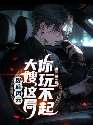 卧底风云评价