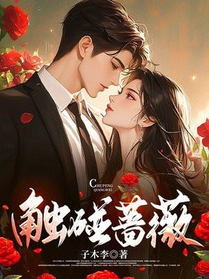 触碰蔷薇全文免费笔趣阁