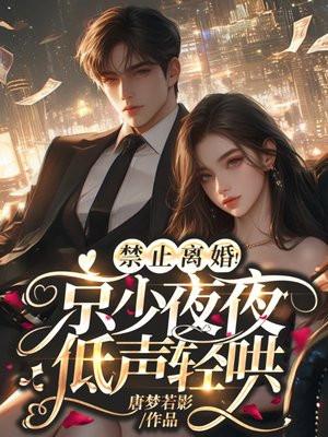 禁止离婚陆少夜夜结局