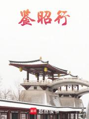 鉴昭行txt