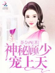 神秘顾少掌心宝