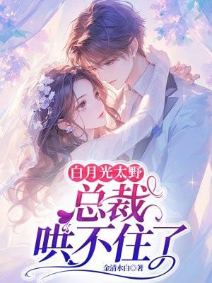 总裁白月光