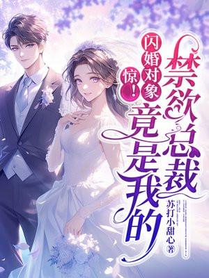 我的闪婚对象是抖s