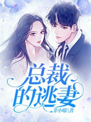 总裁的逃妻四神集团