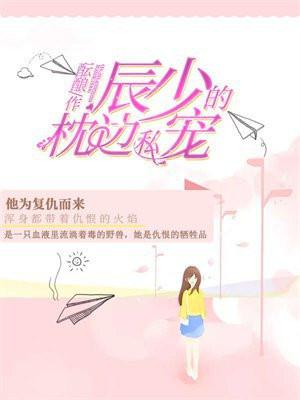 甜宠蜜恋辰少的独家占有