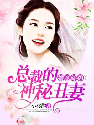 婚意绵绵总裁的神秘丑妻 小喜鹊