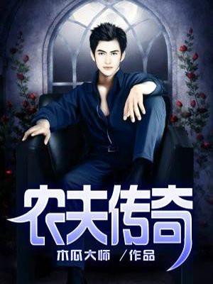 农夫传奇全文免费阅读