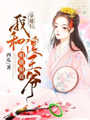 穿越后嫁给傻王爷