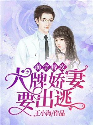 萌宝特攻攻略