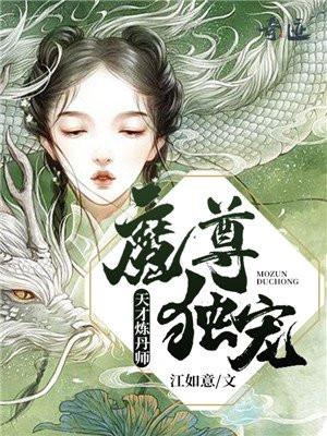 天才炼丹师