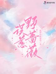 野蔷薇纯音乐完整版