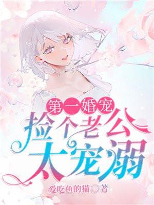 捡个首席当老公闪婚