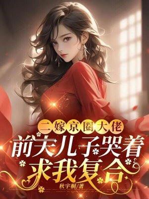二嫁前妻太难追全文免费阅读