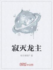 寂灭龙魂辅助效果怎么样