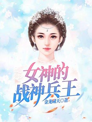女神的兵王高手免费阅读全文