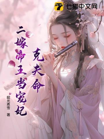 二嫁王妃简介