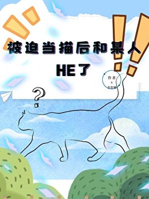 被迫营业的猫