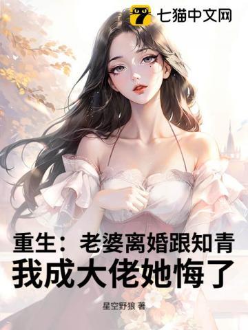 重生和老婆离婚