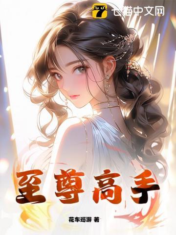 至尊高手叶峰最新章节