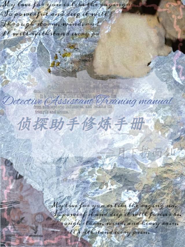侦探助手系列