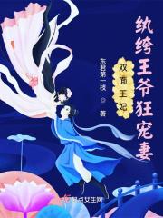 双面王爷失妾心