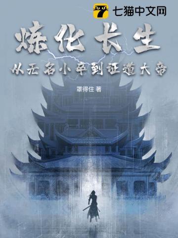 里炼化是什么意思