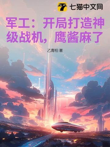 主角开军工公司的