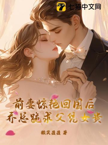 乔总的免费阅读