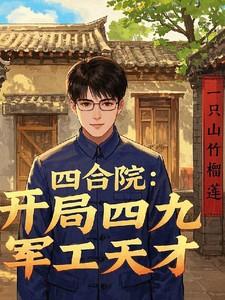 四合院开局就送空间