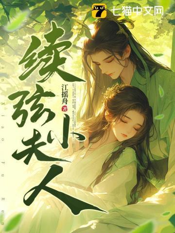 续弦小夫人讲的什么