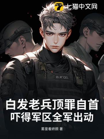 白发军人
