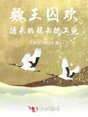 魏王宠妃
