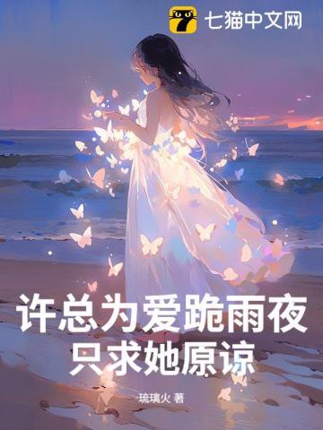 许总是谁