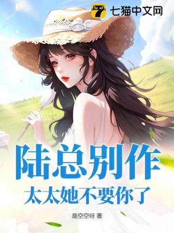 陆太太我们不离婚