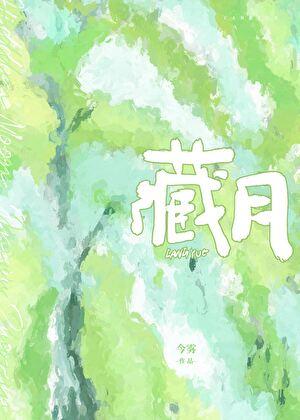 藏胎菊的功效与作用点