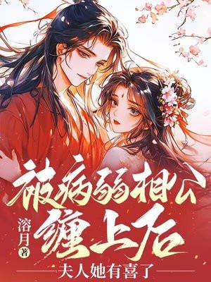病弱相公风华妻