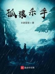 孤独的狼杀手组织