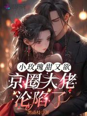 小玫瑰全文免费