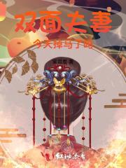 双面夫妻