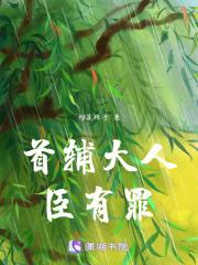 首辅大臣官大吗