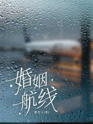 婚姻航线阅读