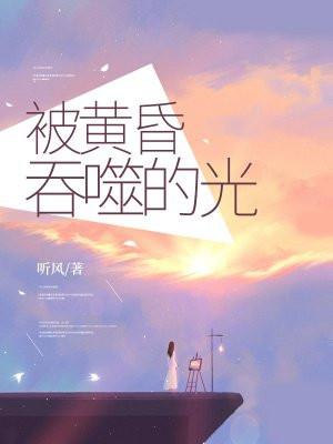 他被黄昏的众神抬入不朽的太阳