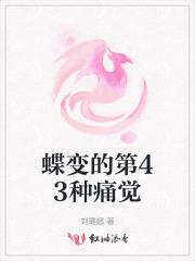 蝶变阶段