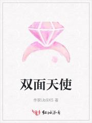 双面天使电视剧