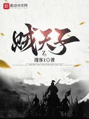 贼天子笔趣阁正版阅读