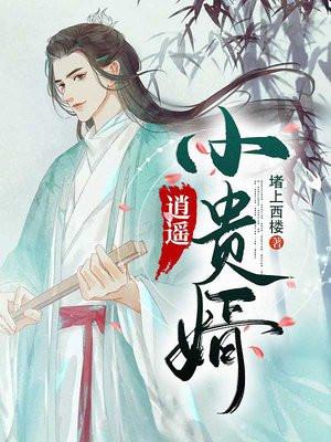 逍遥小贵婿短剧