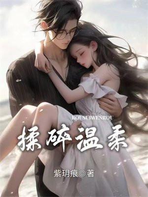 揉碎温柔薄妄txt免费