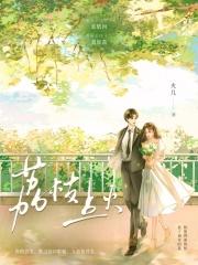 荔枝点火出自哪部剧