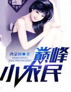 巅峰小农民全本